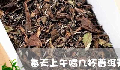 每天上午喝几杯普洱茶/2023093024957