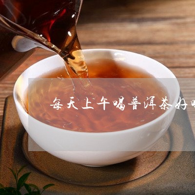 每天上午喝普洱茶好吗/2023062385270