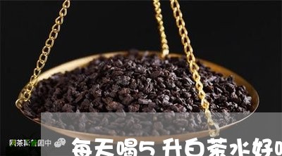 每天喝5升白茶水好吗/2023092727383