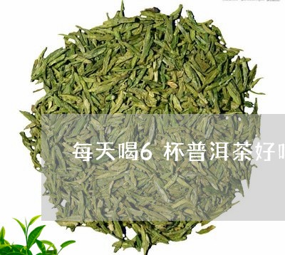 每天喝6杯普洱茶好吗/2023062178480