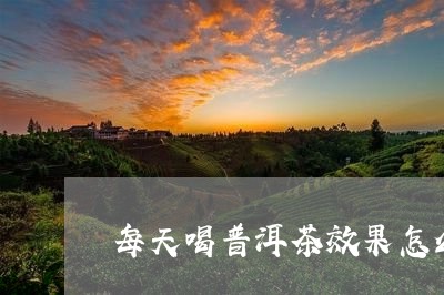 每天喝普洱茶效果怎么样/2023101724847