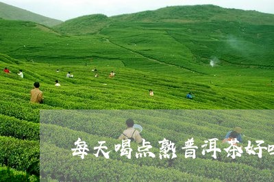 每天喝点熟普洱茶好吗/2023112737460