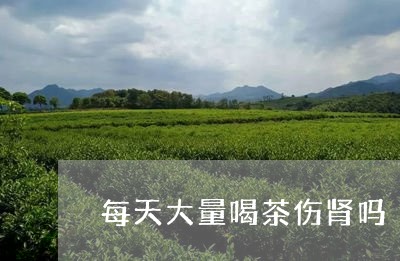 每天大量喝茶伤肾吗/2023042191513