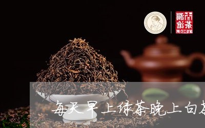 每天早上绿茶晚上白茶/2023100184028