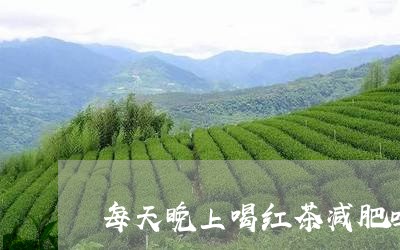 每天晚上喝红茶减肥吗/2023060872613