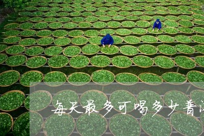 每天最多可喝多少普洱茶/2023122009451