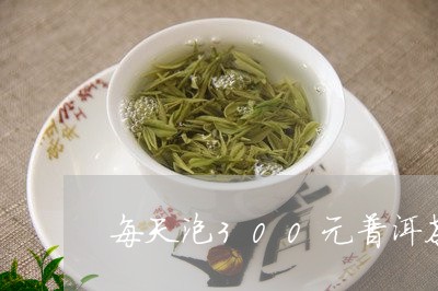 每天泡300元普洱茶/2023081658159