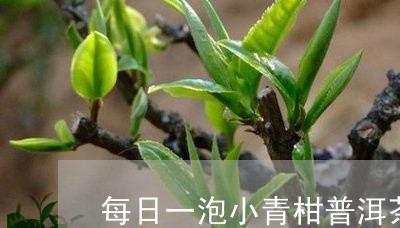 每日一泡小青柑普洱茶/2023061403908