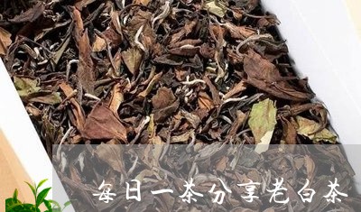 每日一茶分享老白茶/2023073187250