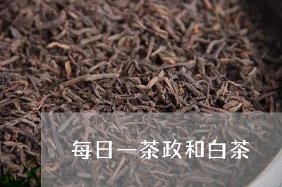 每日一茶政和白茶/2023090797403