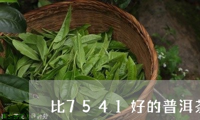 比7541好的普洱茶/2023120666260