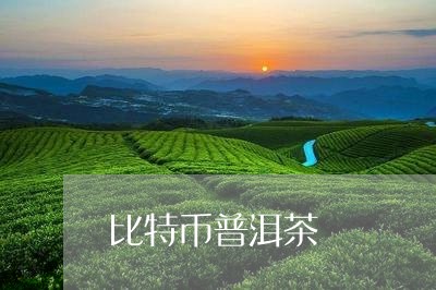 比特币普洱茶/2023042715047