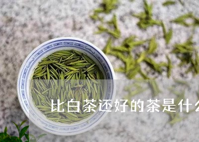 比白茶还好的茶是什么/2023100180594