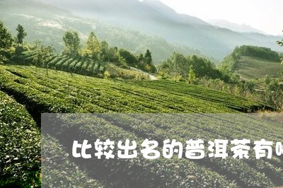 比较出名的普洱茶有哪些/2023050603715