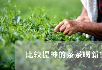 比较提神的茶茶喝新的还是旧的/2023060172728