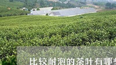 比较耐泡的茶叶有哪些/2023092284030