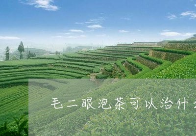 毛二眼泡茶可以治什么/2023060994046