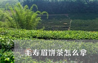 毛寿眉饼茶怎么拿/2023062298570