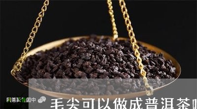 毛尖可以做成普洱茶吗/2023080162495