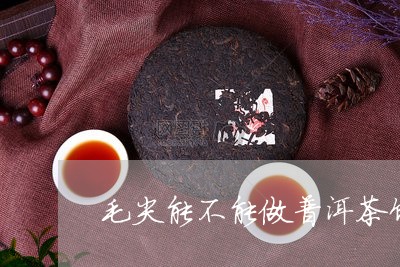 毛尖能不能做普洱茶饼呢/2023110111493