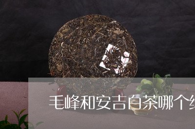 毛峰和安吉白茶哪个绿/2023100133692