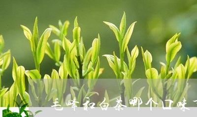 毛峰和白茶哪个口味重/2023100146592