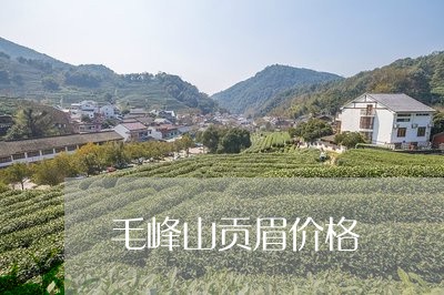 毛峰山贡眉价格/2023112567351