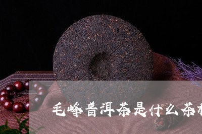 毛峰普洱茶是什么茶种/2023080353805