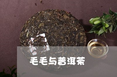 毛毛与普洱茶/2023042712318