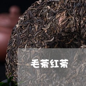 毛茶红茶/2023121961617