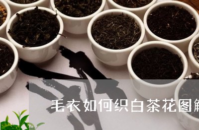 毛衣如何织白茶花图解/2023100112616