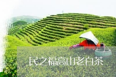 民之福高山老白茶/2023062266372