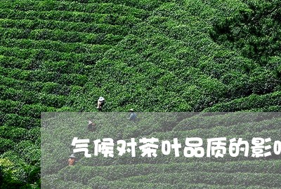 气候对茶叶品质的影响/2023061135818