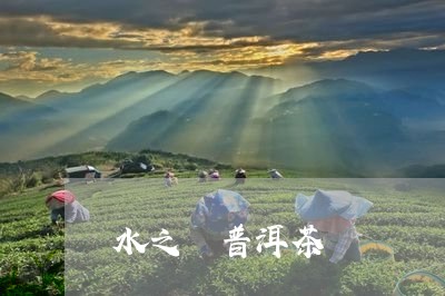 水之韻普洱茶/2023042510305