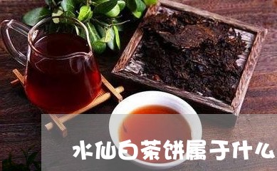 水仙白茶饼属于什么茶/2023100120595