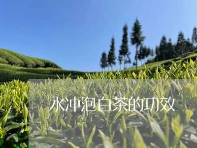 水冲泡白茶的功效/2023111778371