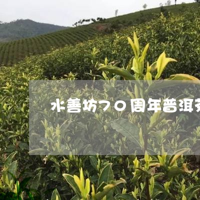 水善坊70周年普洱茶/2023092646158