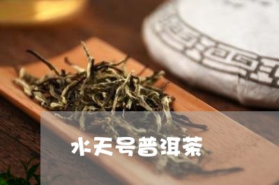 水天号普洱茶/2023042551999