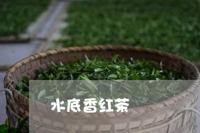 水底香红茶/2023090268362