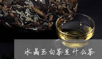 水晶玉白茶是什么茶/2023072194925