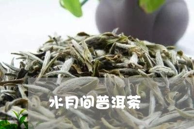 水月间普洱茶/2023042646784