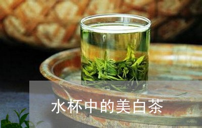 水杯中的美白茶/2023060228470