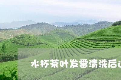 水杯茶叶发霉清洗后还可以用吗/2023053143928