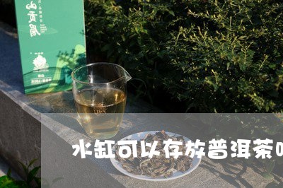 水缸可以存放普洱茶吗/2023120612058