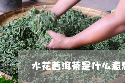 水花普洱茶是什么意思/2023092992849