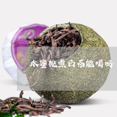 水蜜桃煮白茶能喝吗/2023072185258