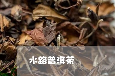 水路普洱茶/2023090531602