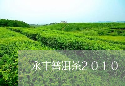 永丰普洱茶2010/2023062851704