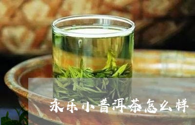 永乐小普洱茶怎么样/2023072488503