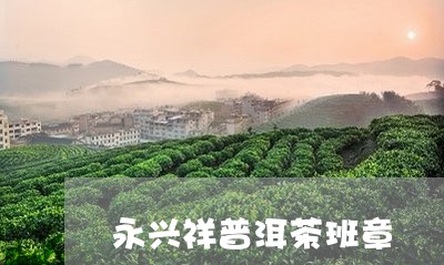 永兴祥普洱茶班章/2023080120382